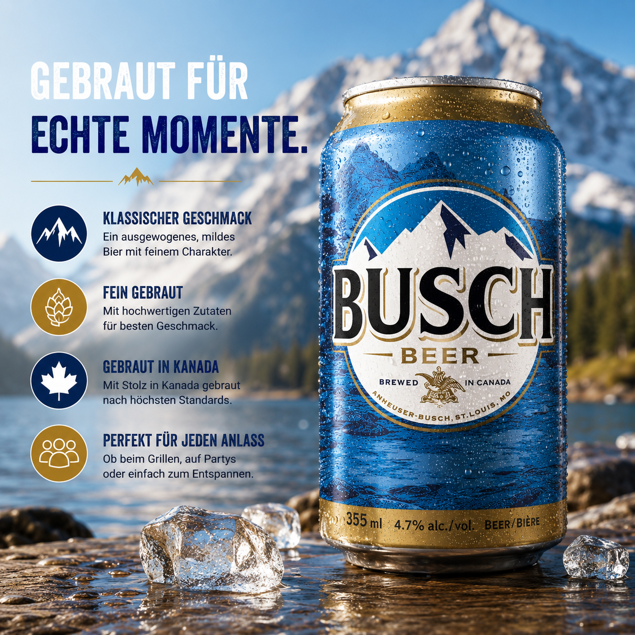 Anheuser Busch Beer (355 ml)