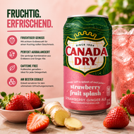 Canada Dry - "Ginger Ale Strawberry" (355ml)